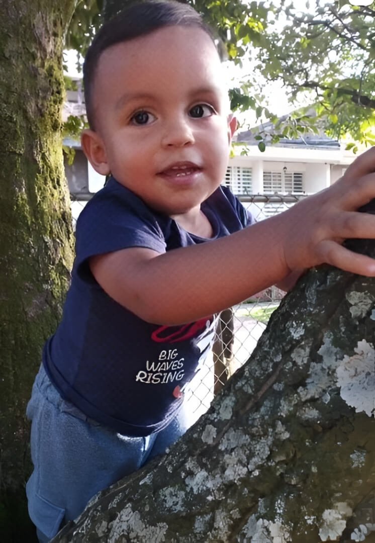 niño en arbol